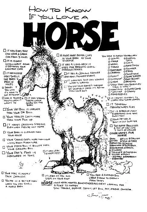 Horse Poster