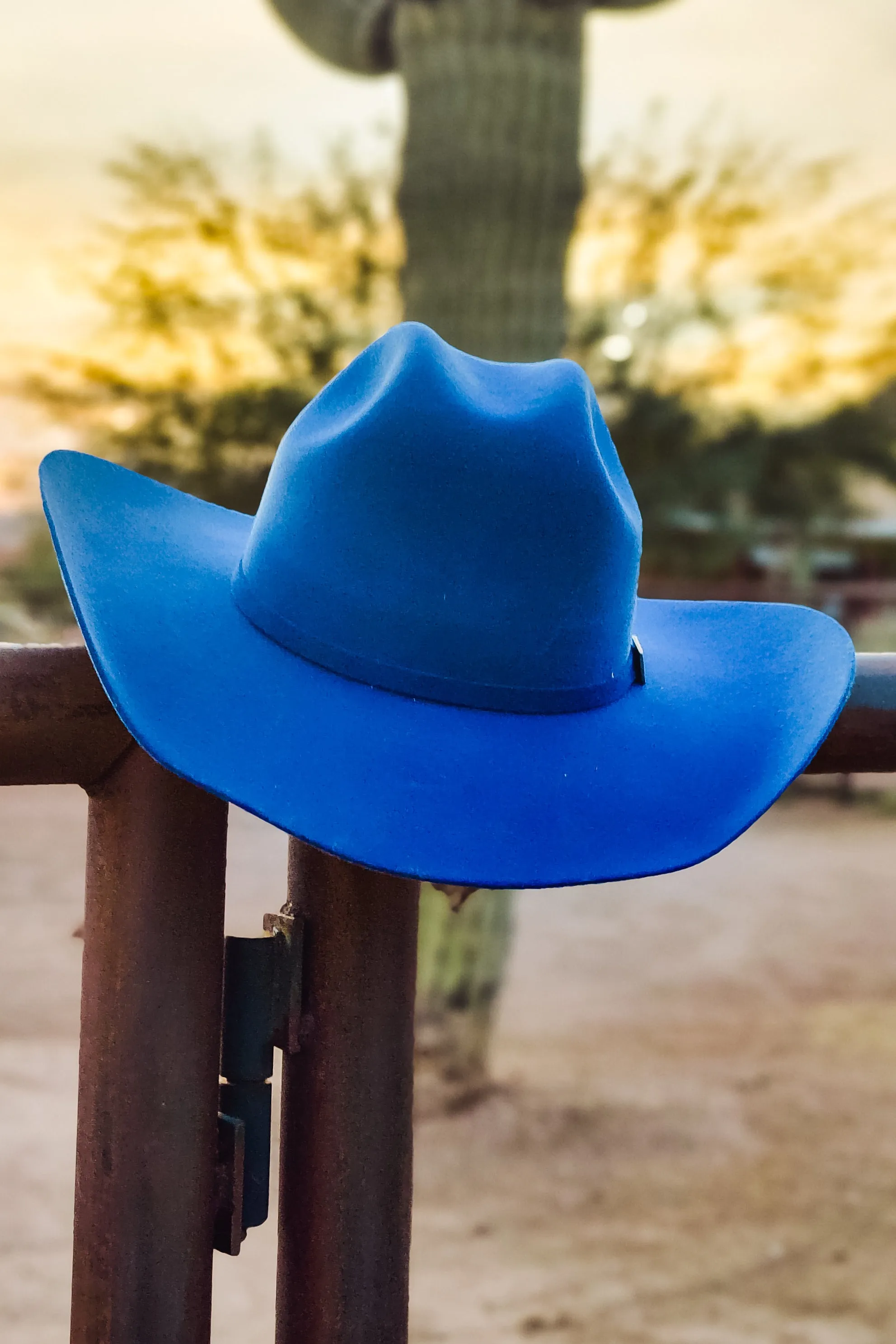 Rodeo Royalty 4x Felt - Royal Blue