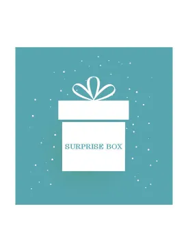 SURPRISE25#SURPRISE BOX 25 pcs - $625 retail value