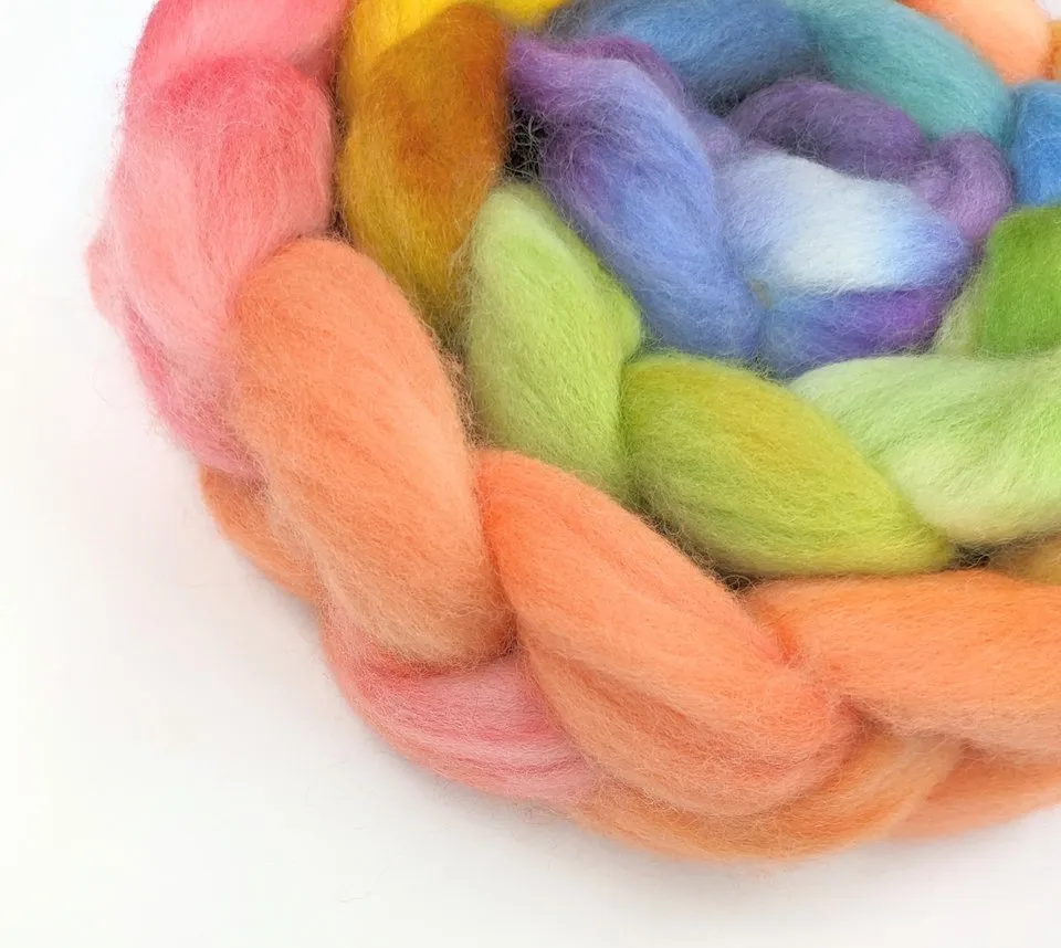 The Fiber Imp Hand Painted Roving